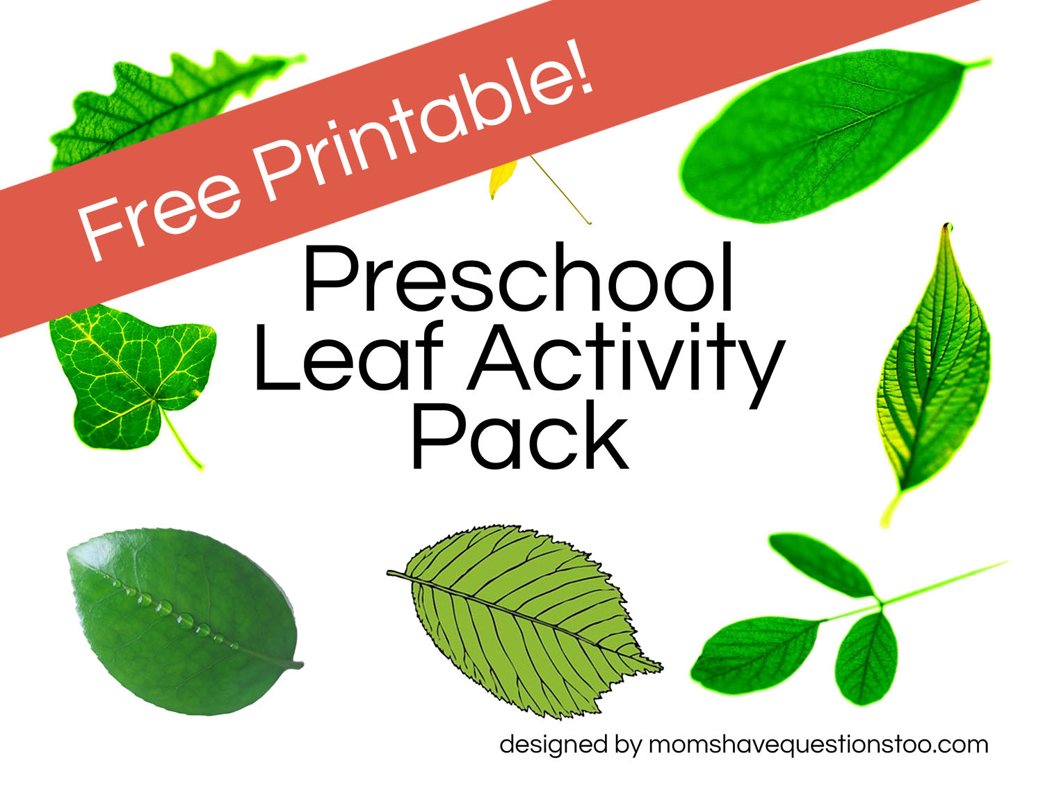 Leaf Activities - Moms Have Questions Too