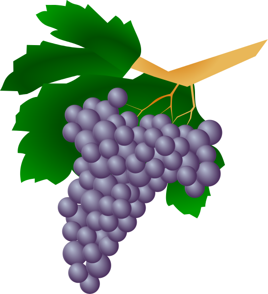 Grapes vine clipart free clipart images - Clipartix