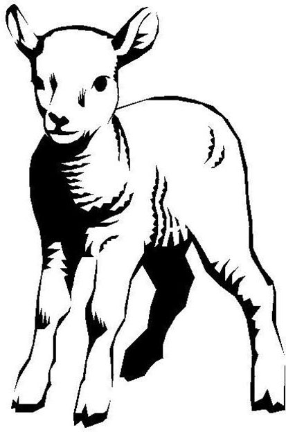 Lamb Line Drawing - ClipArt Best