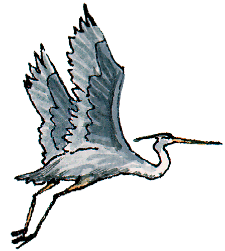 Heron From Microsoft Com Clipart