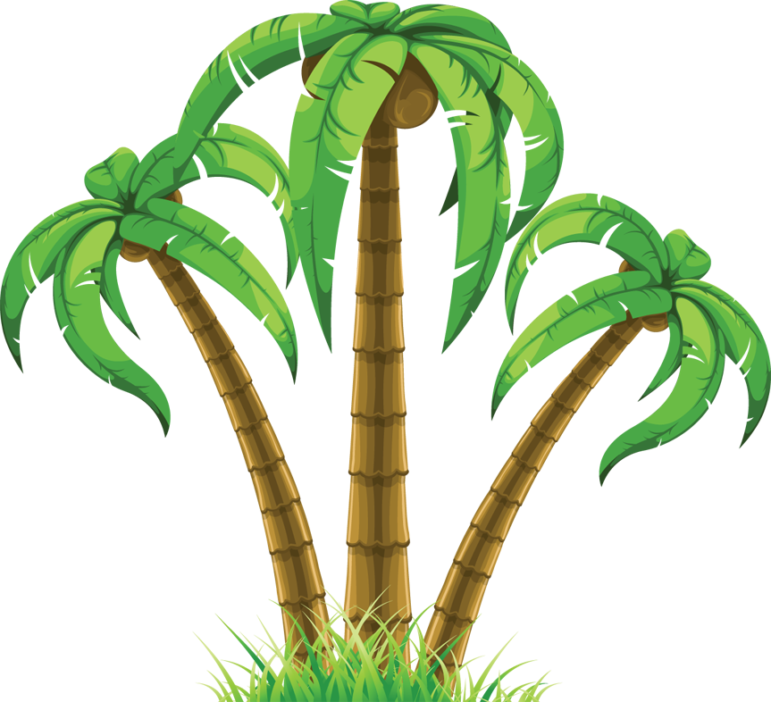 Palm tree bw clipart hd - ClipartFox