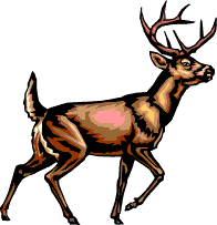 Deer Hunting Clipart - Free Clipart Images