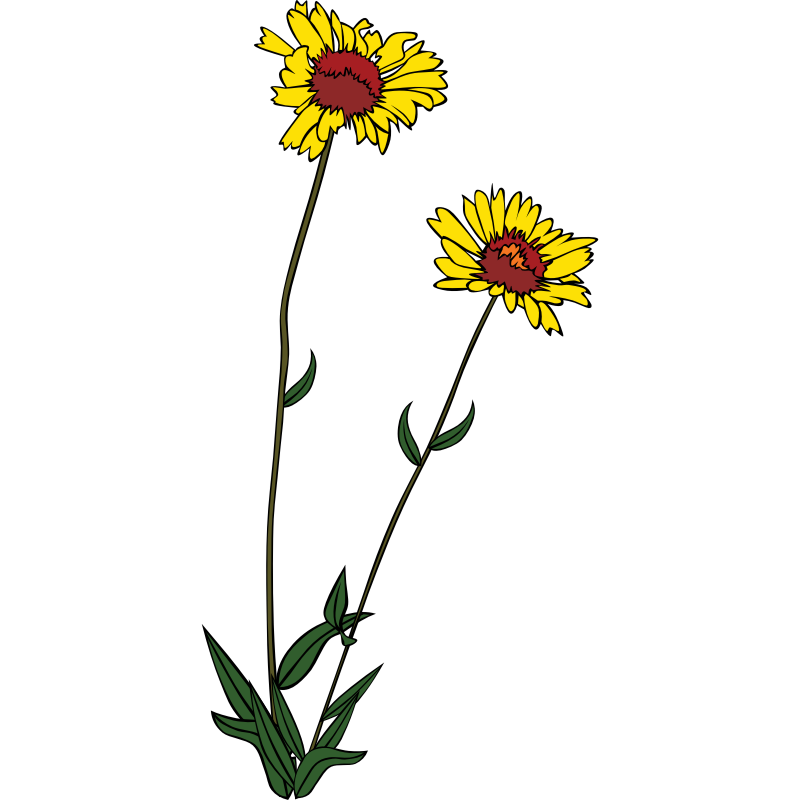 Wildflower Clip Art Clipart Best 2504