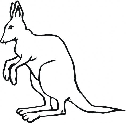 Kangaroo Outline Clipart