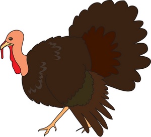 Wild turkey clip art free