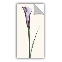 Robert Coop Calla Lily Graphic Art on Wrapped Canvas | Products ...