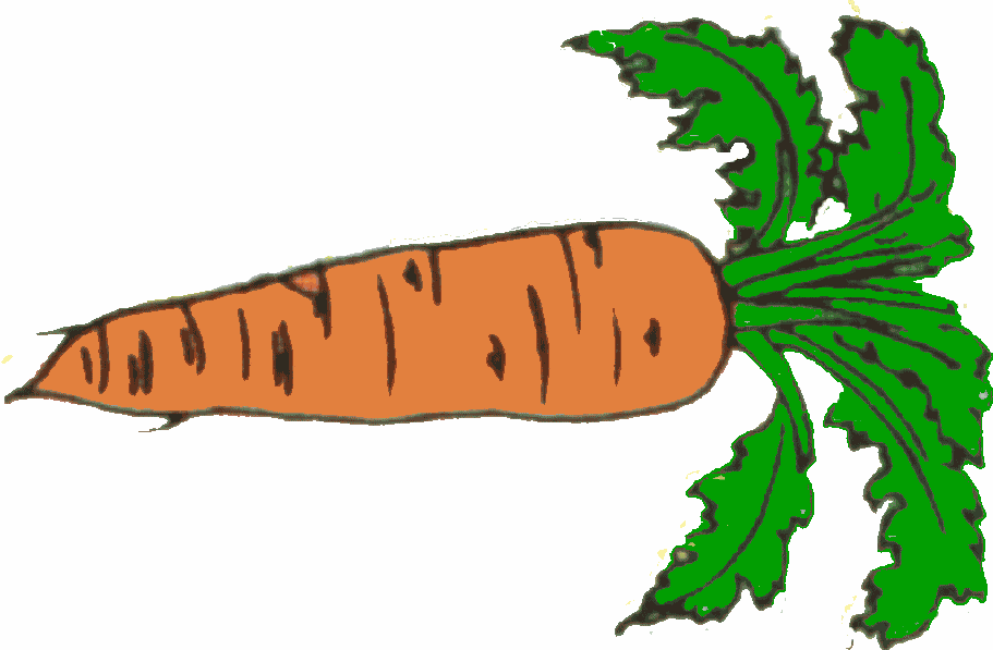 Carrot pictures free clip art