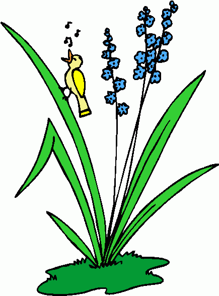 Animal and plant clipart