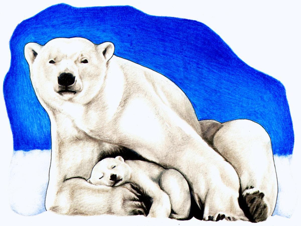 01-polar-bear.jpg