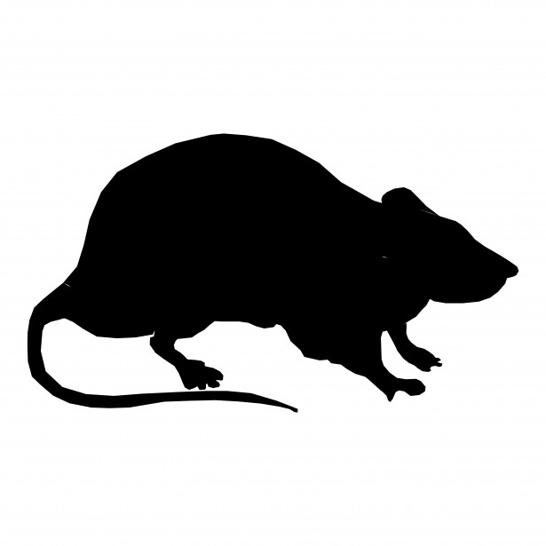Silhouette Rat Photo stock libre - Public Domain Pictures