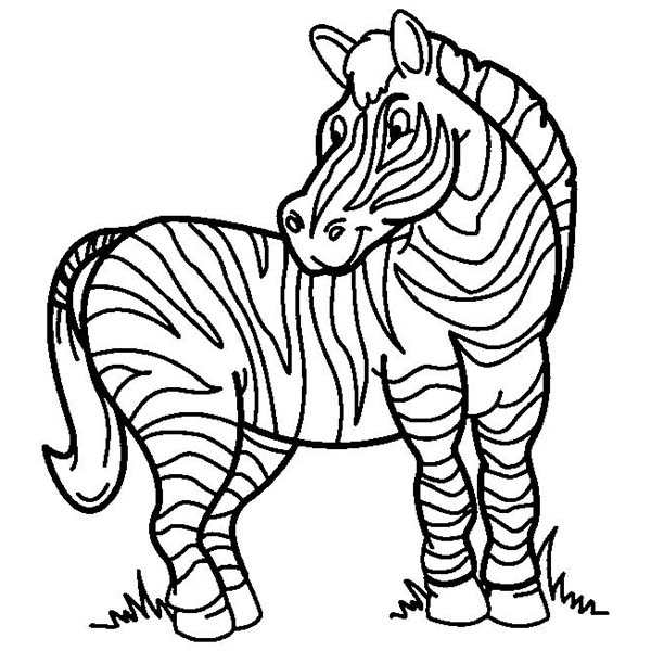 The Mountain Zebra Coloring Page - Free & Printable Coloring Pages ...