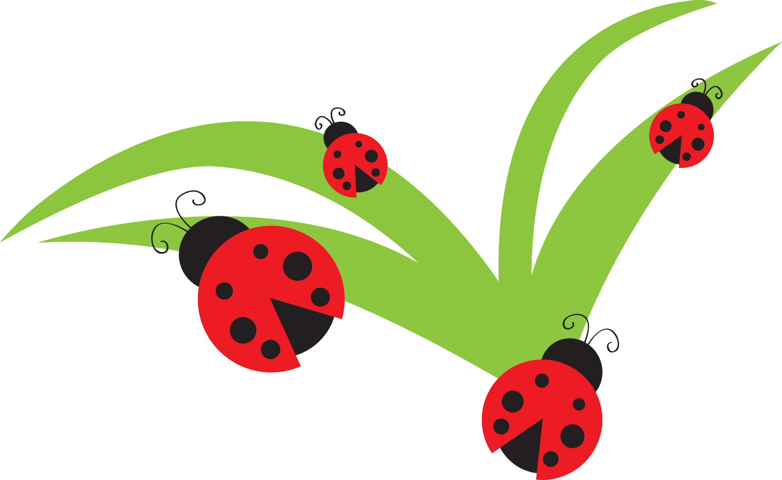 Ladybug lady bug clip art bug flower leaf branch clipart personal ...