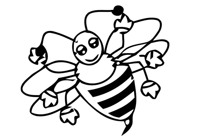 Honey Bee Colouring Pages - ClipArt Best