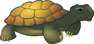 Tortoise Clipart Panda Free Images Clipart - Free to use Clip Art ...