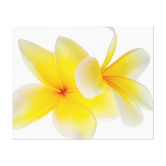 Hawaiian Flowers Wrapped Canvas Prints | Zazzle
