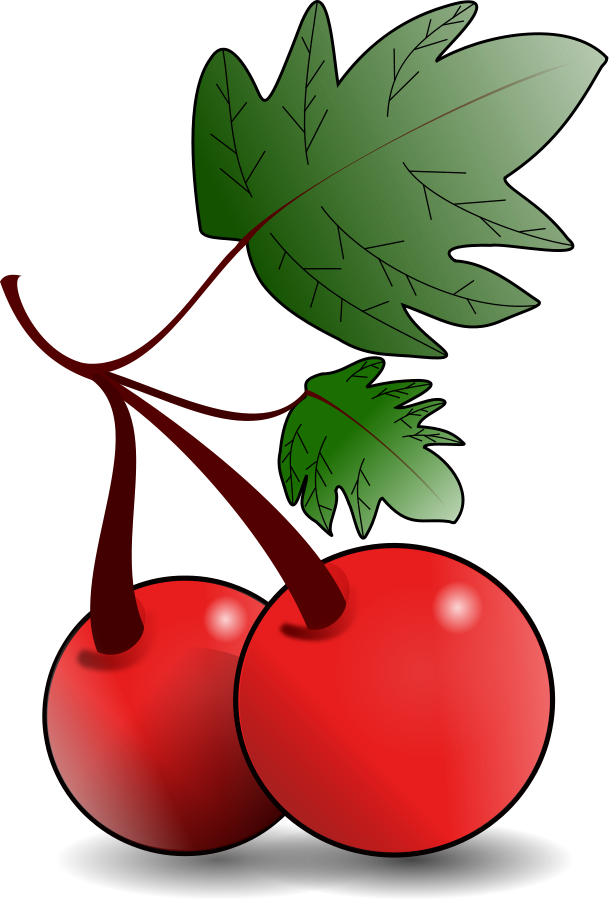 Pomegranate Clipart | Free Download Clip Art | Free Clip Art | on ...