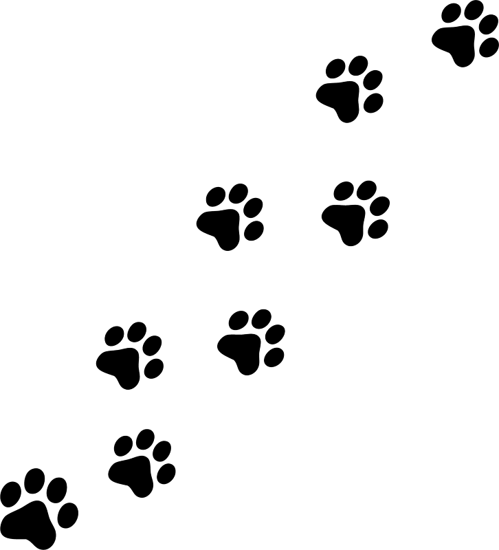 Cat Paw Print | Free Download Clip Art | Free Clip Art | on ...