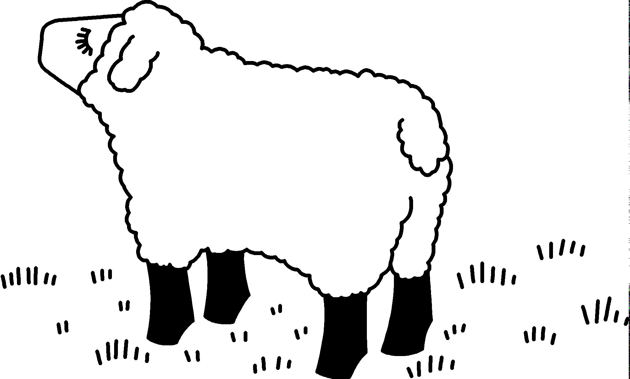 How do I make these sheep sexy?