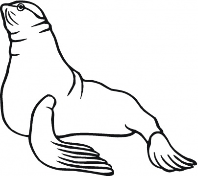 Sea Lions coloring pages | Super Coloring