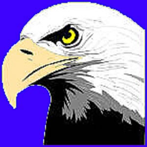 Mat Want to Marry: Patriotic Eagle Clipart
