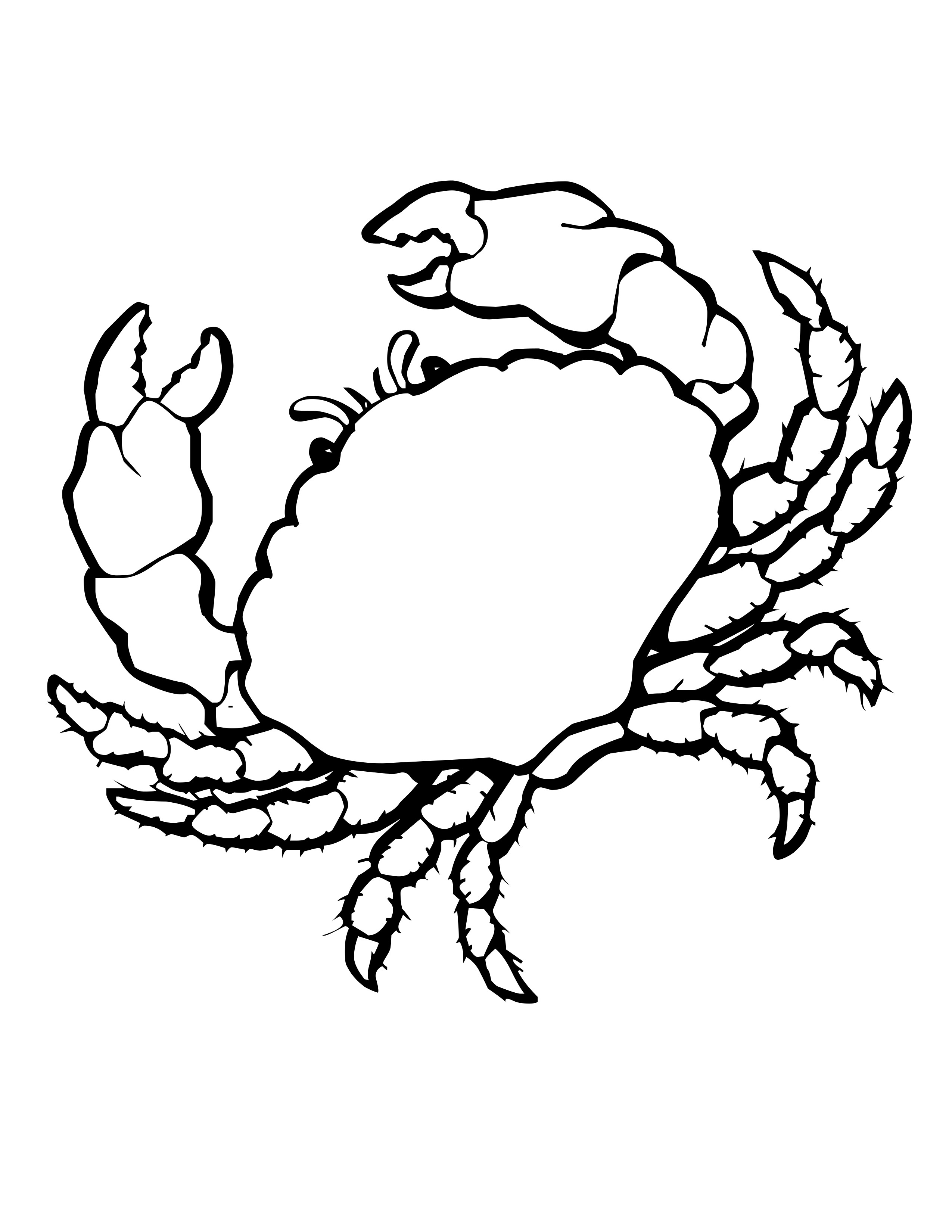 crabs and shells Colouring Pages