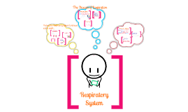 Copy of Respiratory System by Olivia Lee on Prezi