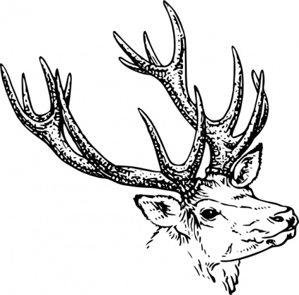 Deer Vector Art Free - ClipArt Best