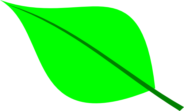 Green Leaf Clipart