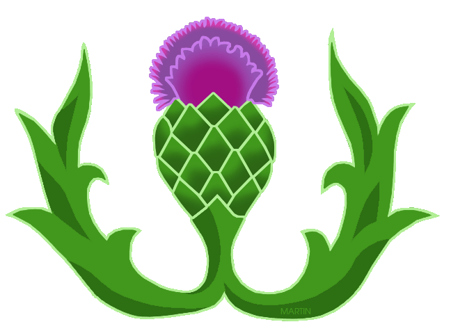 Thistle Clipart | Free Download Clip Art | Free Clip Art | on ...