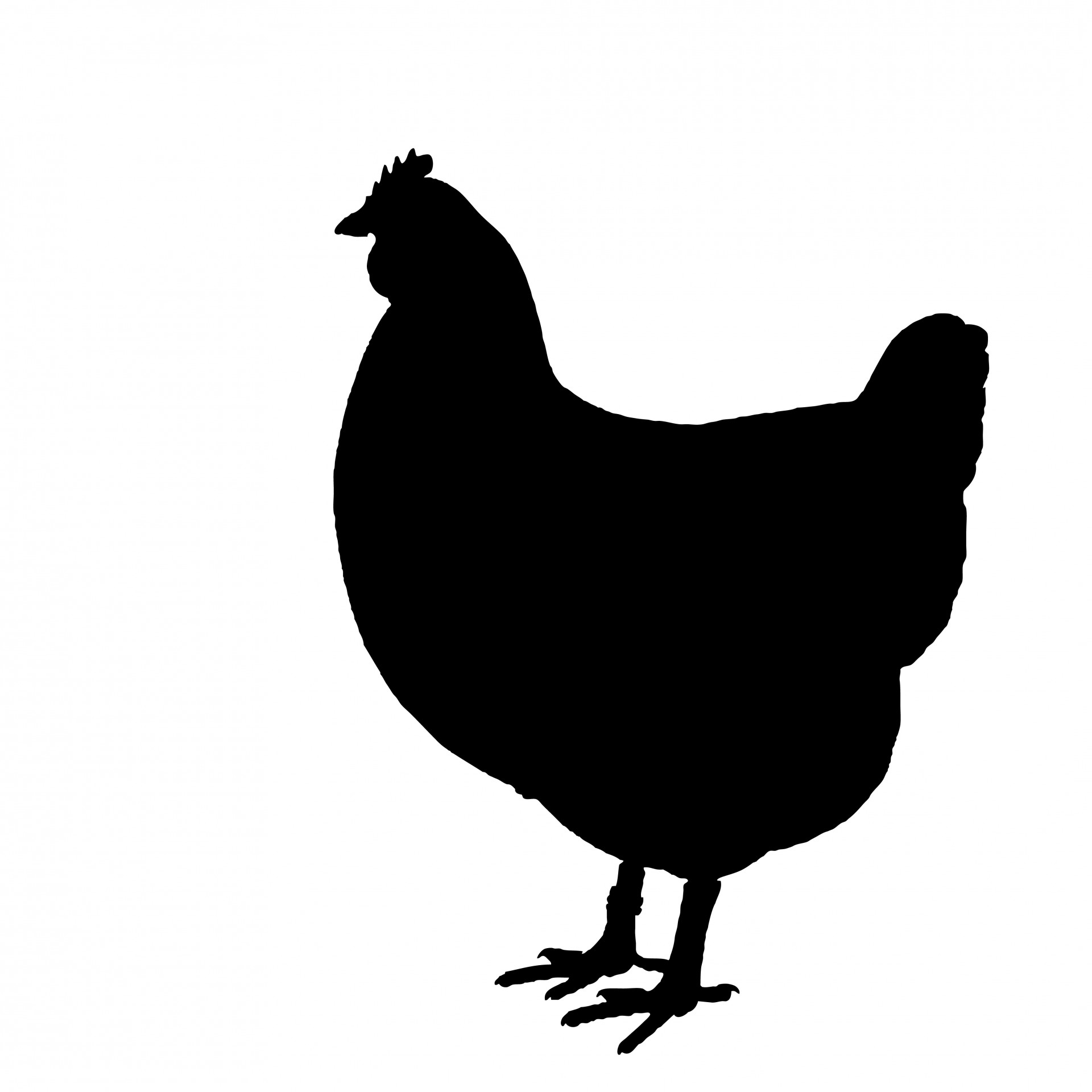 Chicken silhouette clip art