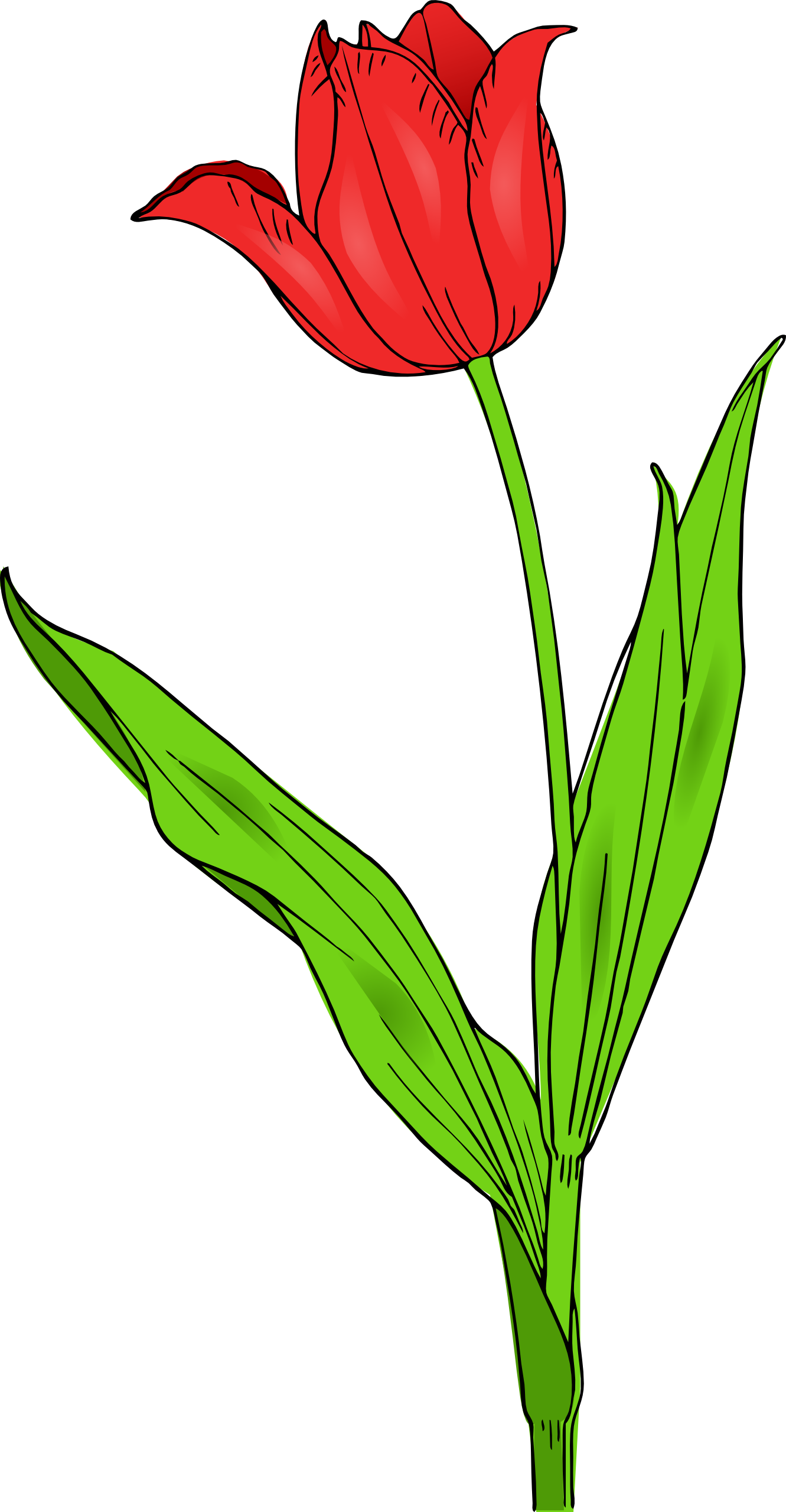 Clip Art Bunga Tulip - ClipArt Best