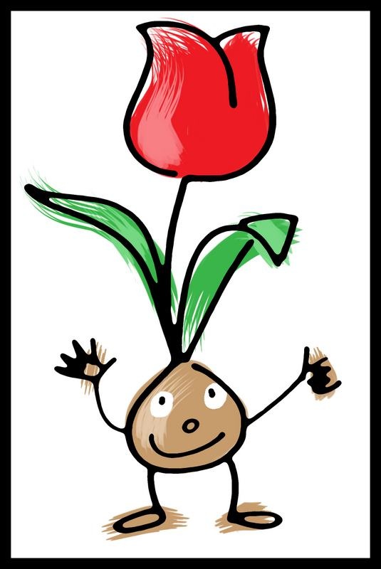 Tulpen Cartoon! #Tulips https://www.facebook.com/FluwelsTulpenland ...