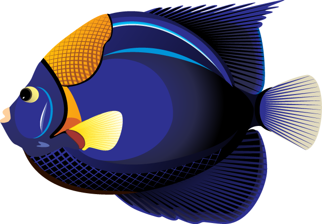 Tropical Fish Clipart - Free Clipart Images