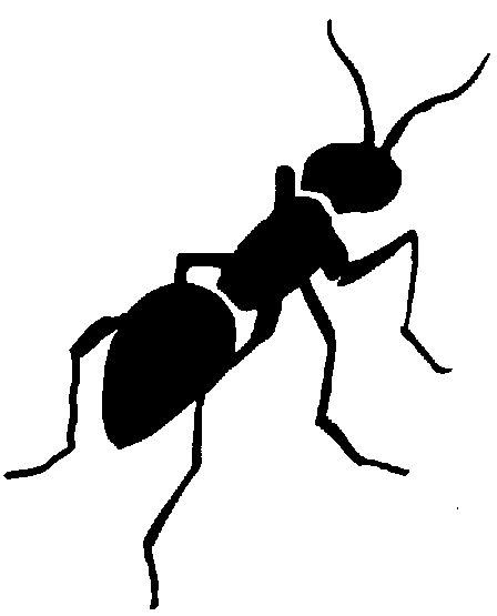 Ant Clipart Black And White - Free Clipart Images