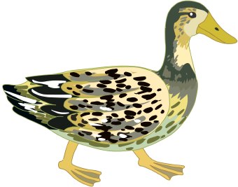 Duck Images | Free Download Clip Art | Free Clip Art | on Clipart ...