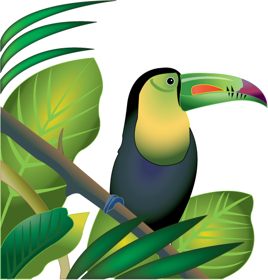 Best Rainforest Clipart #14810 - Clipartion.com