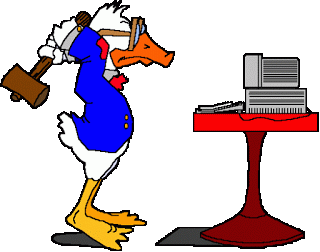 duck computer