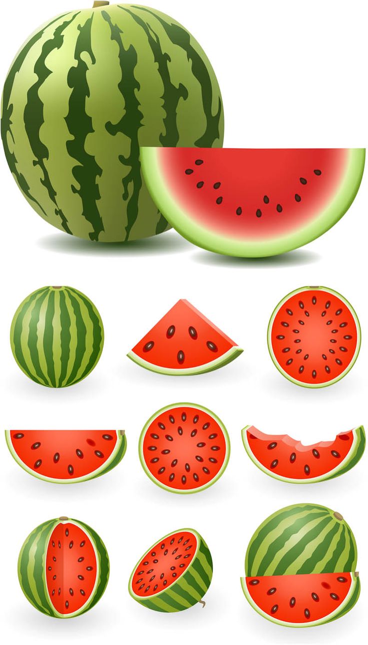 Watermelon Illustration | Fruit ...