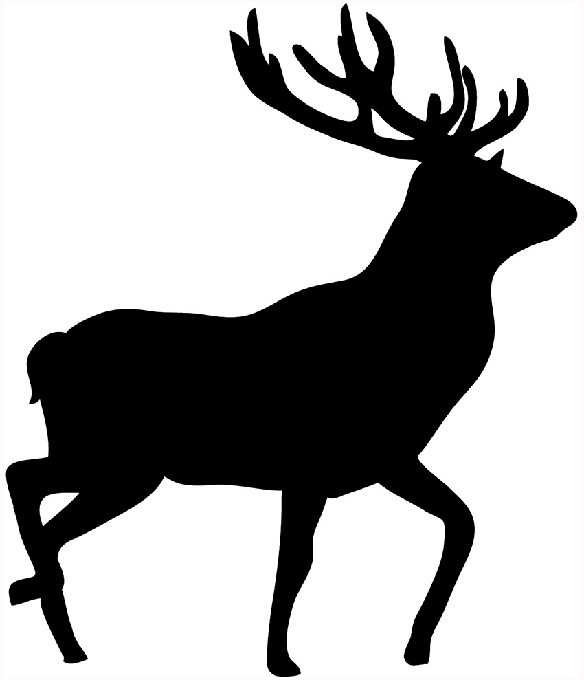 Deer outline clipart black and white