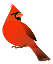 Cardinal Vector - Download 58 Vectors (Page 1)