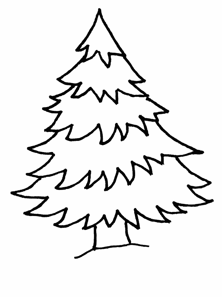 Picture Of Evergreen Tree | Free Download Clip Art | Free Clip Art ...