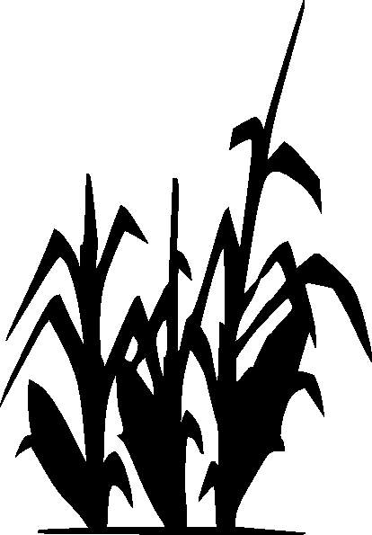 Corn Stalk Clipart - Tumundografico