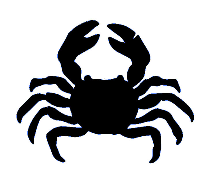 I need some Graphic Design for a Crab vector | Freelancer
