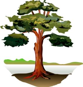 Tree clip art - vector clip art online, royalty free & public domain