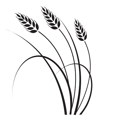 Drawing Wheat Plant - ClipArt Best