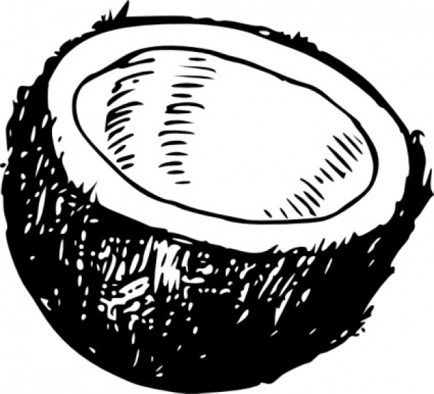 Coconut 20clipart - Free Clipart Images