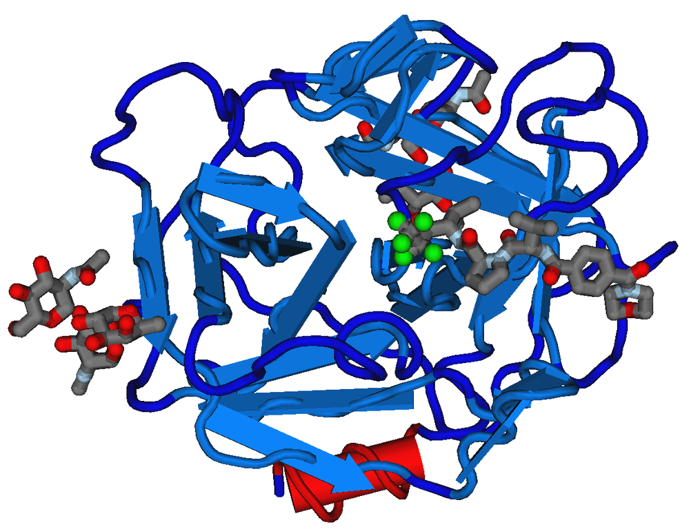 File:1B0F Human Neutrophil Elastase.png