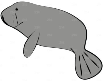 Best Manatee Clip Art #6155 - Clipartion.com