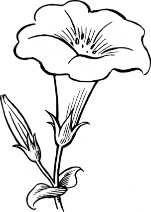 Simple Flower Outline | Free Download Clip Art | Free Clip Art ...