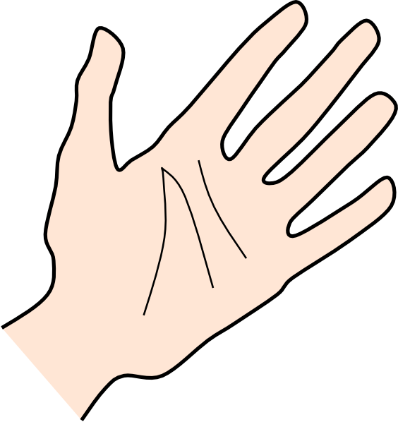 Palm Of Hand Clipart